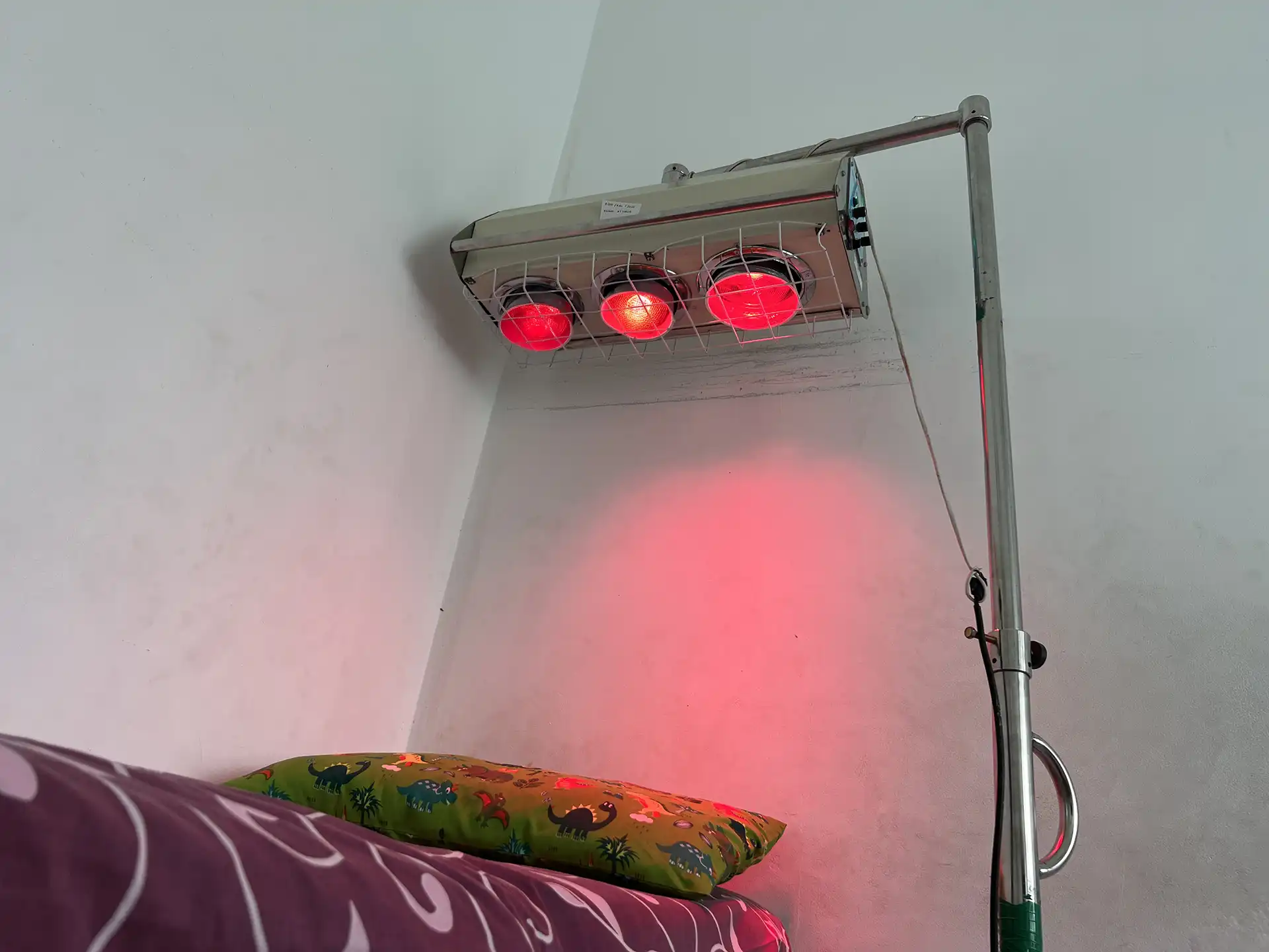 Fisioterapi Profesional